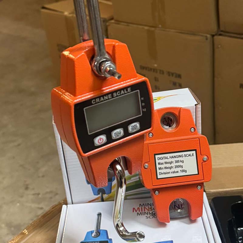 300kg Mini Crane Scale Digital Hanging Scale for Industrial and Warehouse Use
