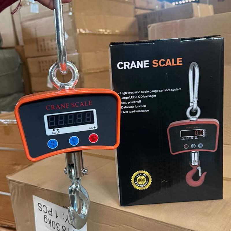 500Kgs Mini Industrial Crane Scale Digital Hanging Scale for Warehouse and Heavy Duty Use